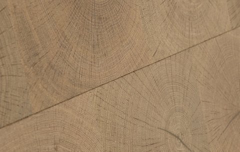 Aquila Plank Parquetry Detail2
