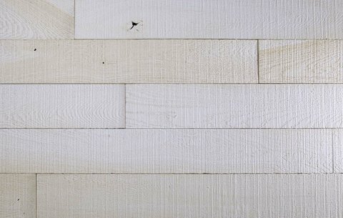 Fossil Plank