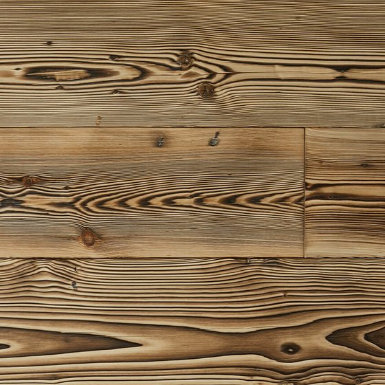 Moth Plank Carbonised