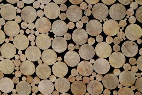 WOOD 18